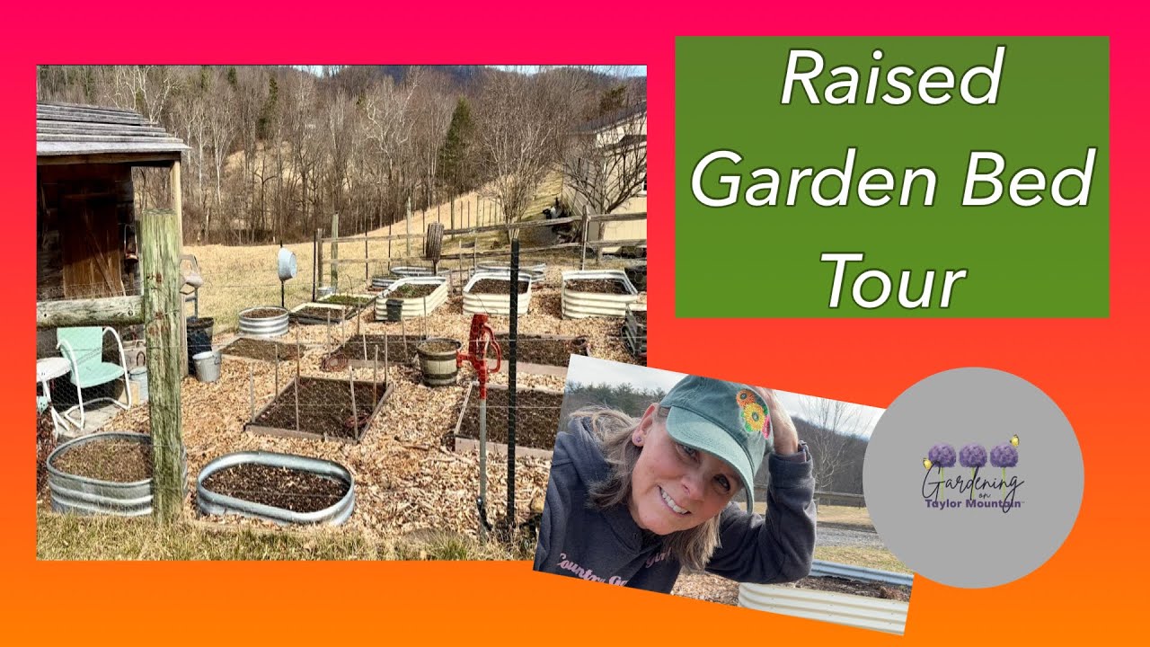 My Raised Garden Bed SetupVego Garden Beds, Stratco Beds and More! 🌱🌸