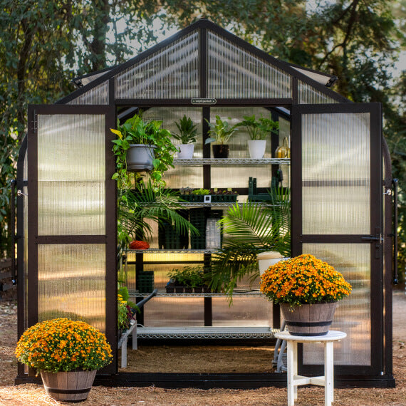 Greenhouses 8.5ft Wide for Sale | Large Outdoor Greenhouse' Supplies