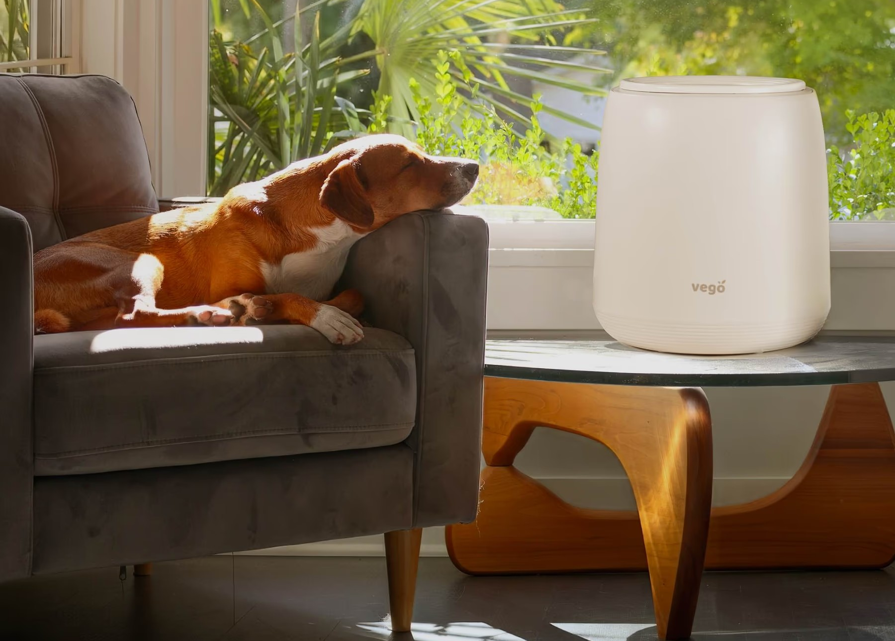 FAQ About Composting Indoors with the Vego Garden Composter