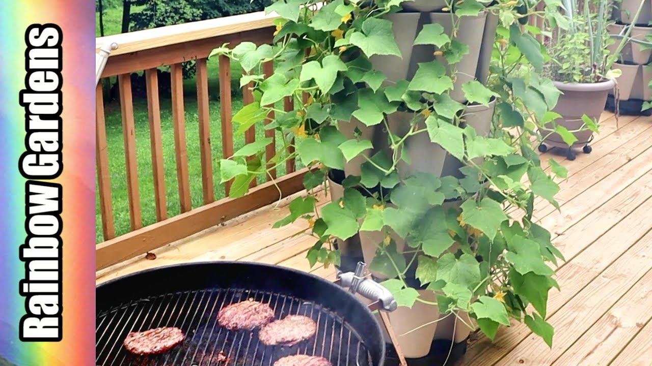 Grillin' & Chillin' in the Garden - What's Growing ...