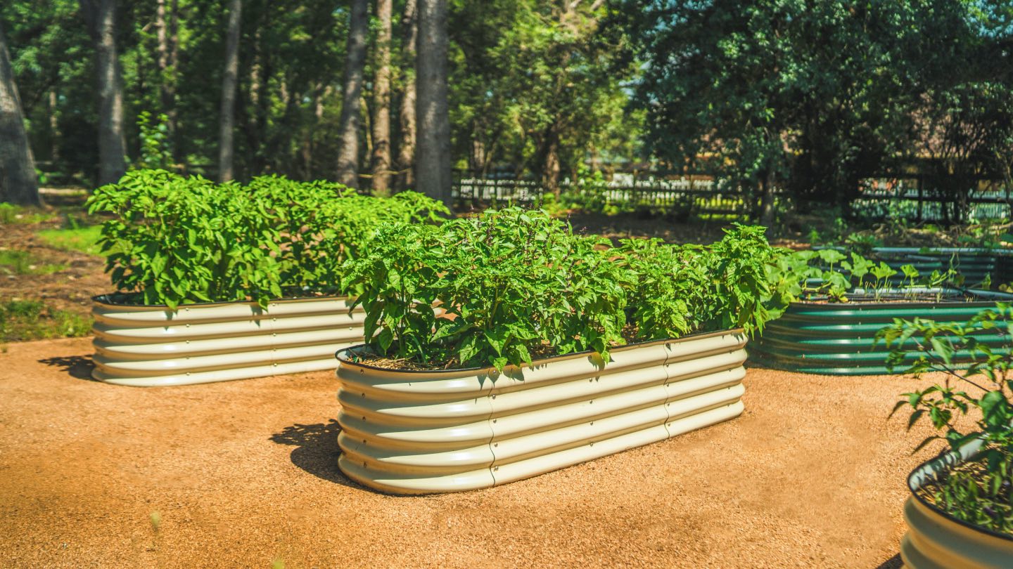 Vego™ Metal Raised Garden Beds Vego Garden
