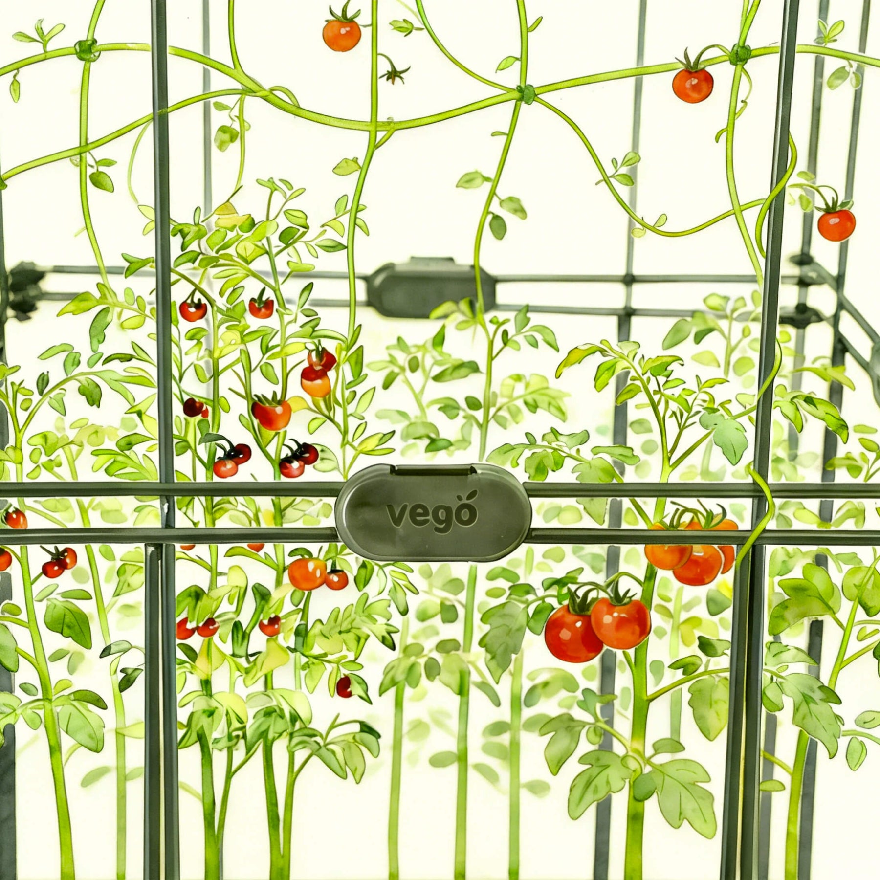 hanging tomato plant kit FlexGrow Connectors Kit