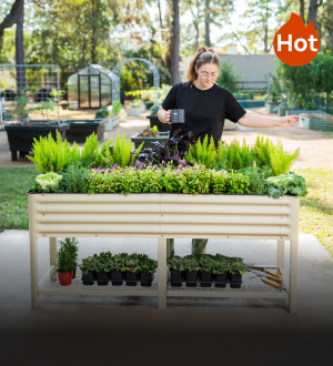 Vego garden beds