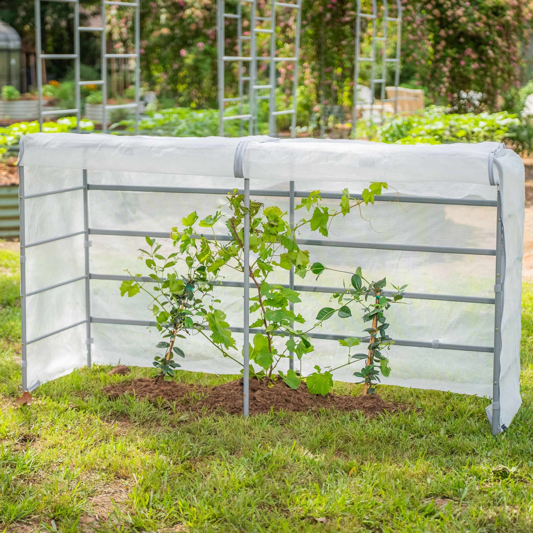 trellis covering plants Mesh Cover System for Elevated Bed