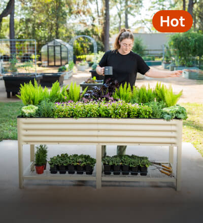 Elevated Garden Beds