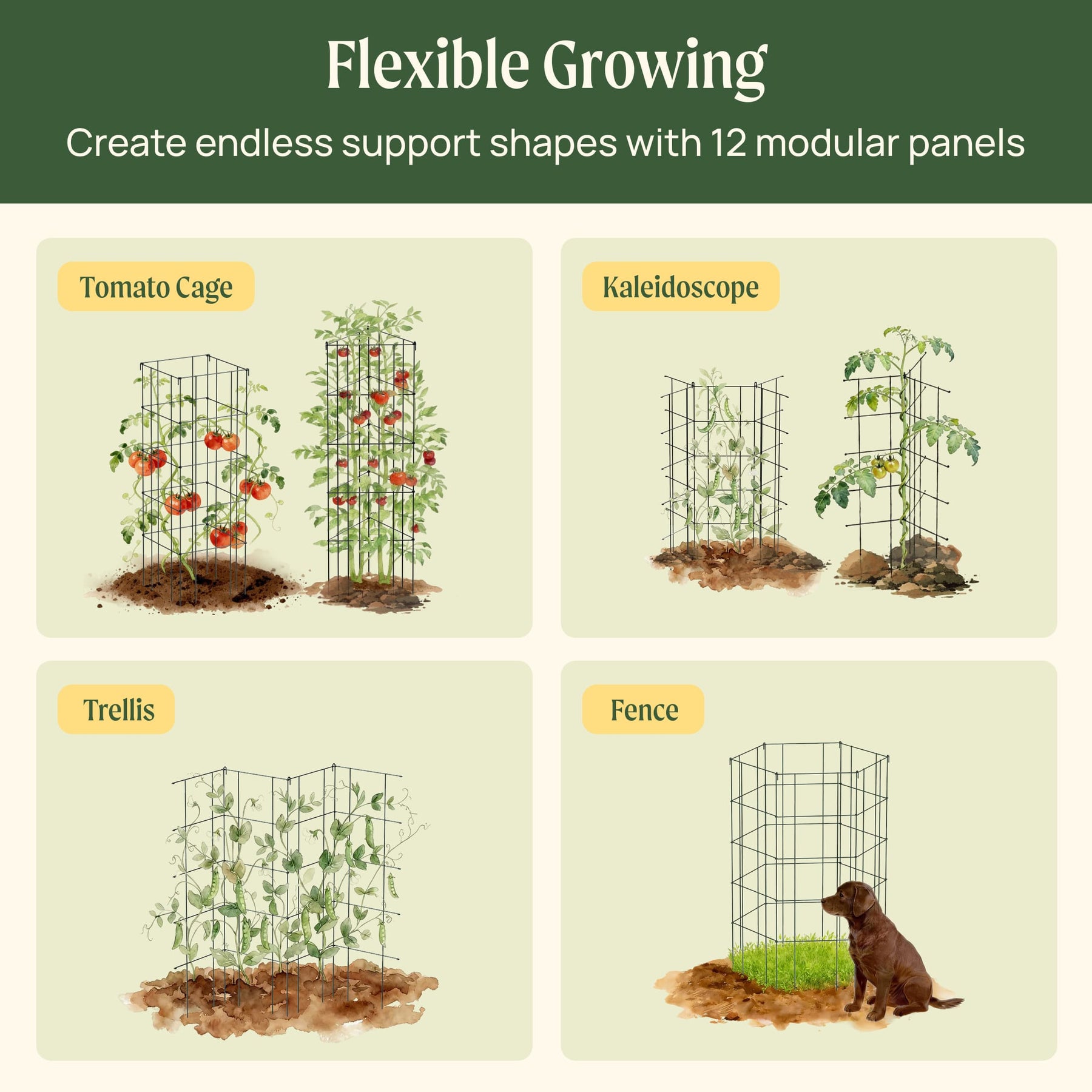 modular plant trellis FlexGrow Modular Trellis - 12 Pack