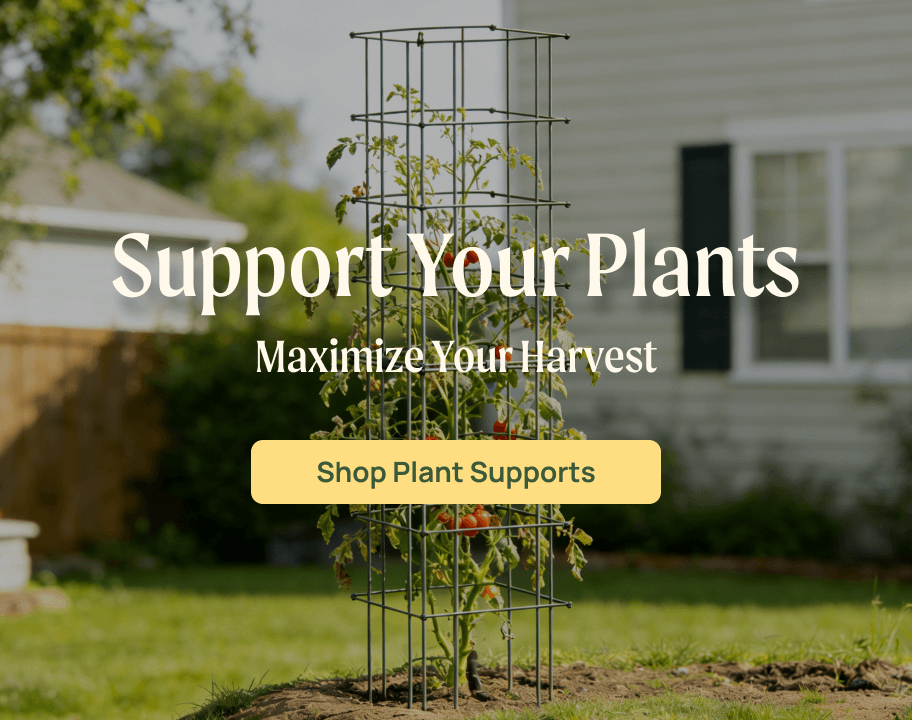 Vego garden beds
