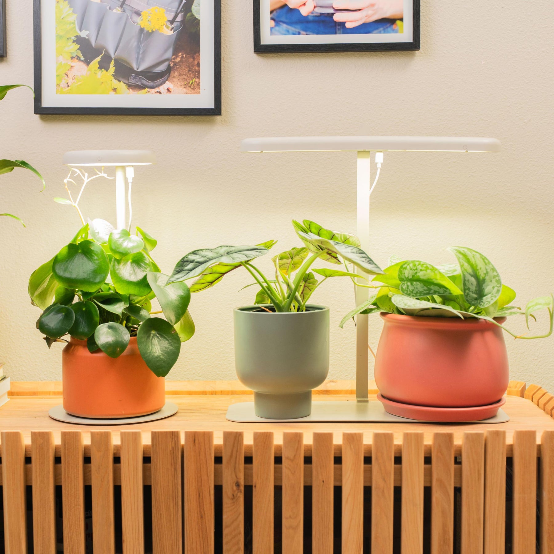 mini grow lights for plants Mini Grow Light Stand for Seedlings & Herbs