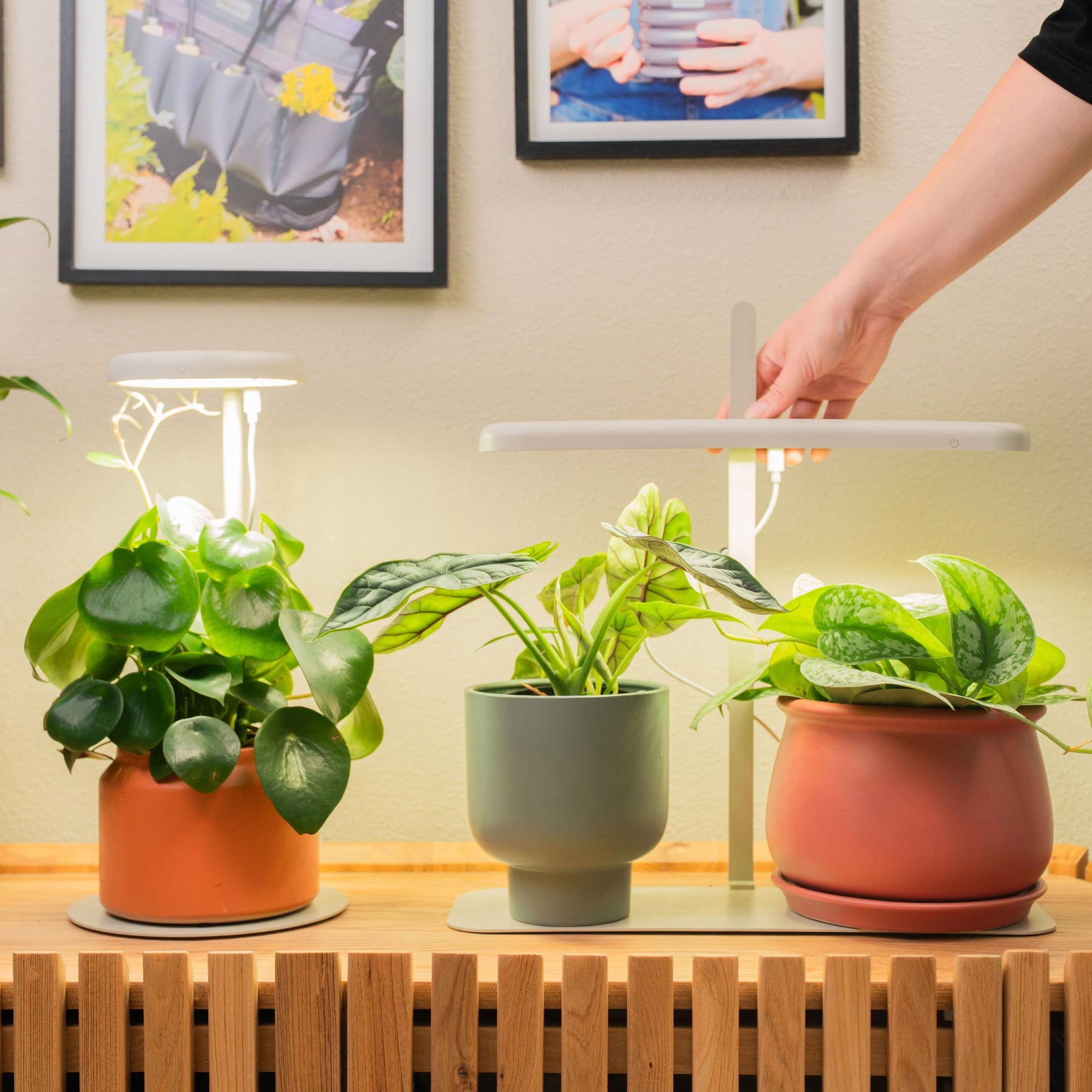 lights for starting plants indoors Grow Light Stand