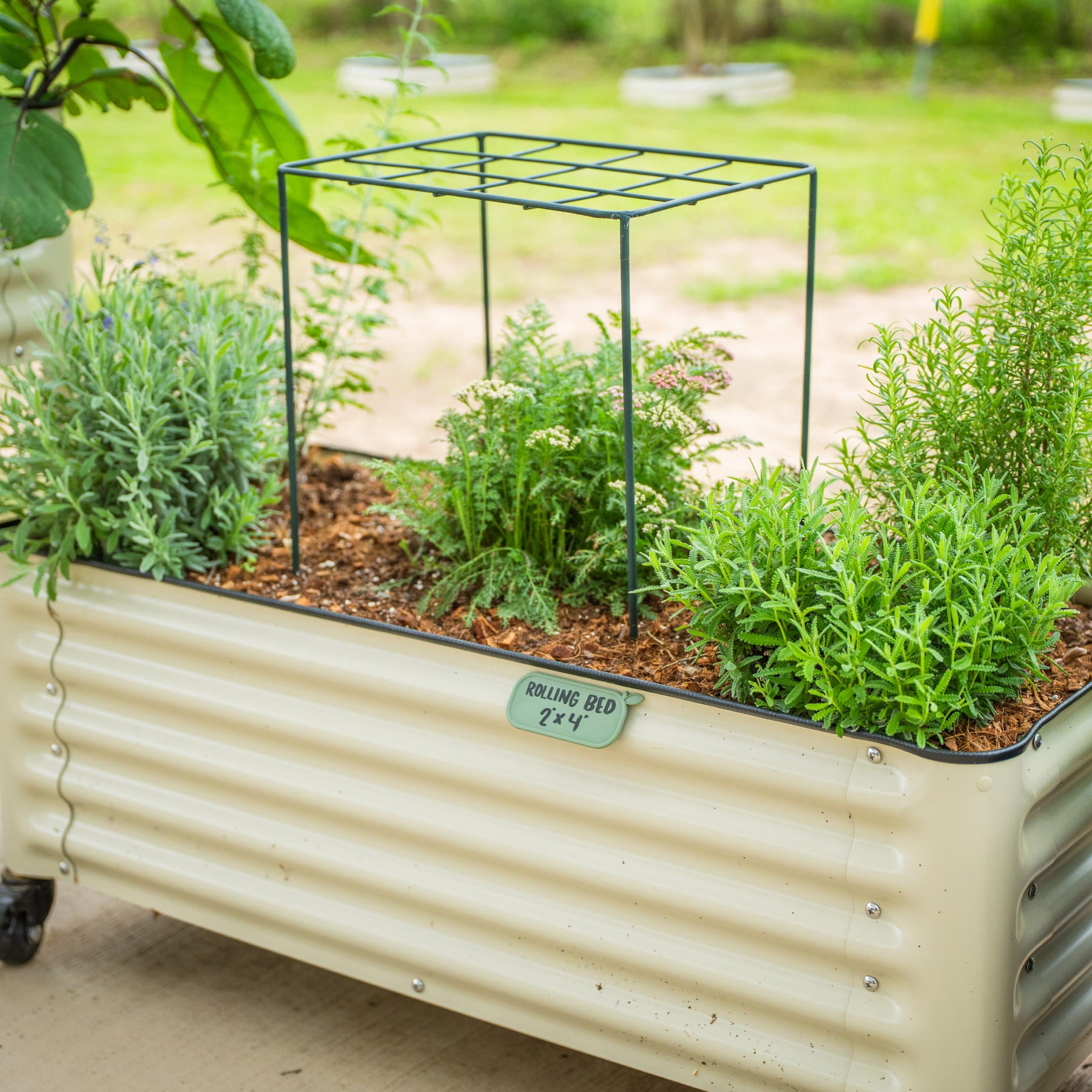 Vego Grow Through Support Grid (4 Pack) | Stable Garden Framework