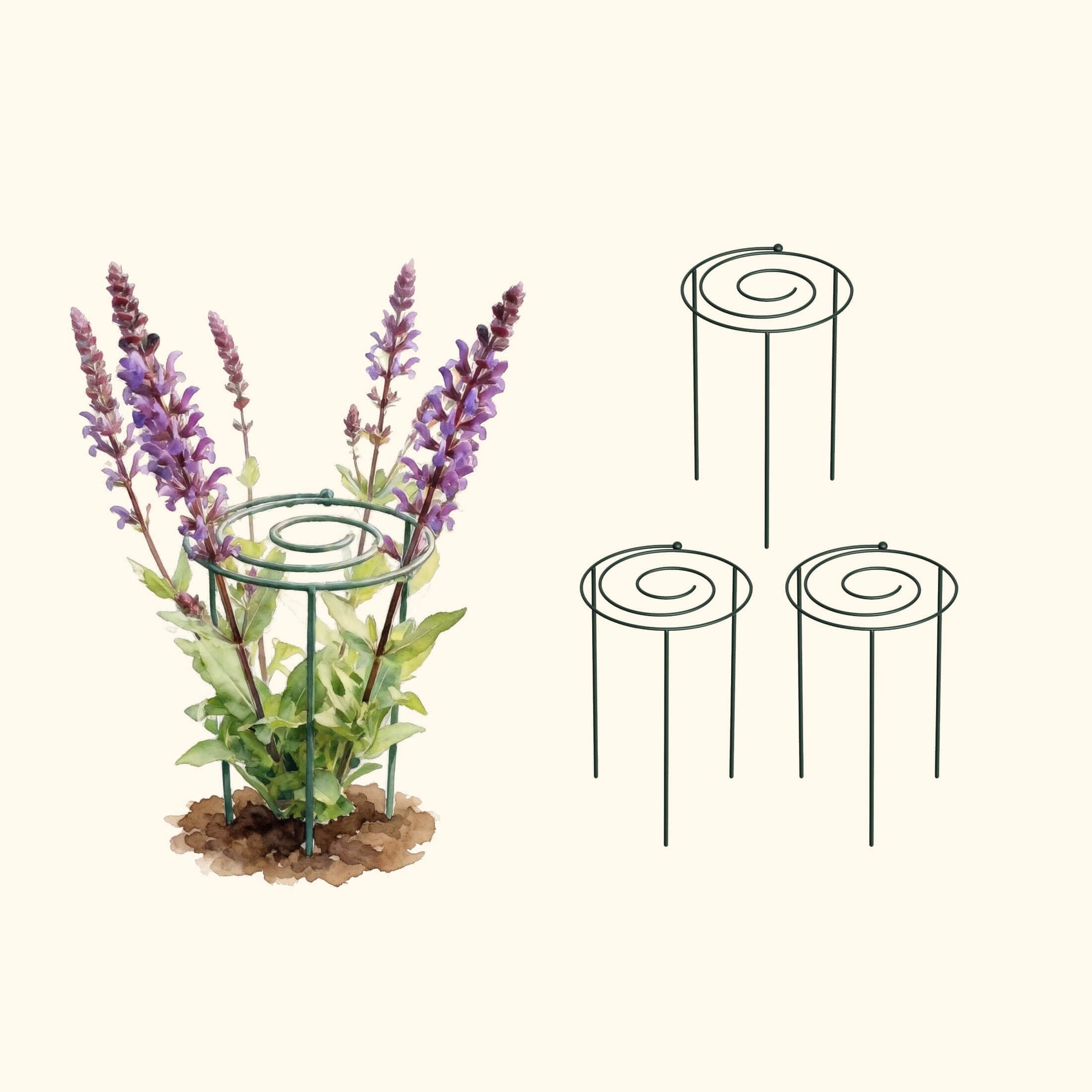 Grow Through Support - Spiral