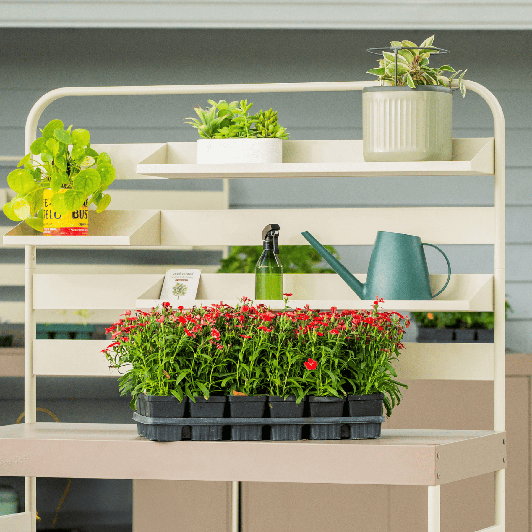 Hanging Rack Set Hanging Rack Shelf Set | Wall-Mounted Garden Tool Organization