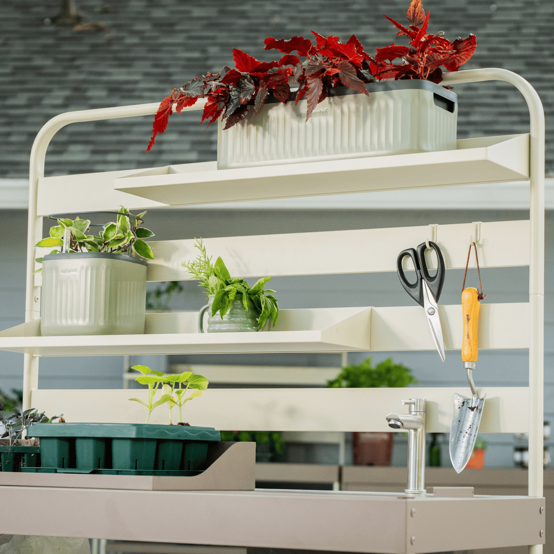 wall mounted herb planter rack Hanging Rack Shelf Set