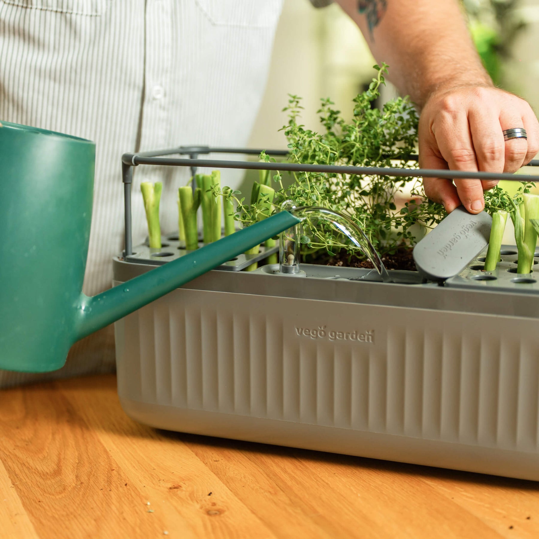 self watering outdoor herb planter EZ Self-Watering Herb Planter with Trellis G2