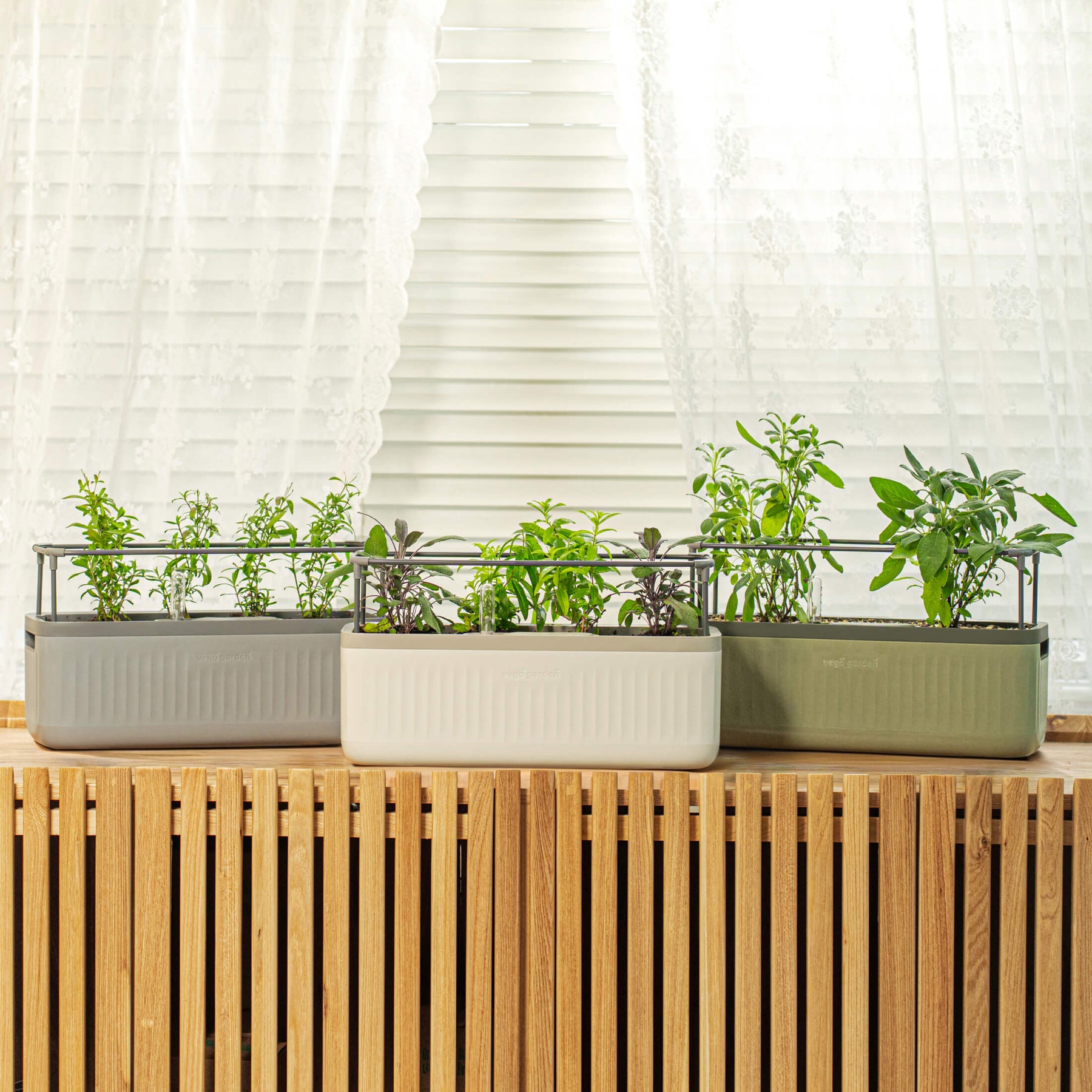 indoor self watering herb planter EZ Self-Watering Herb Planter with Trellis G2