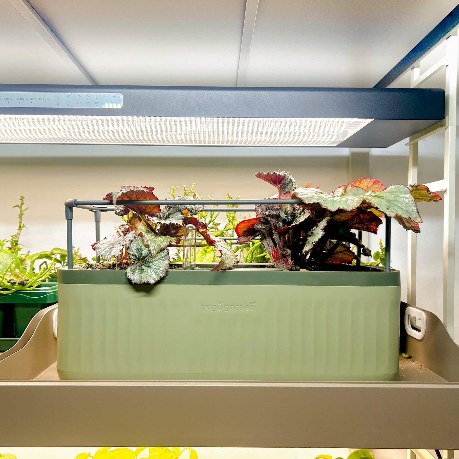 indoor trellis planter EZ Self-Watering Herb Planter with Trellis Gen 2