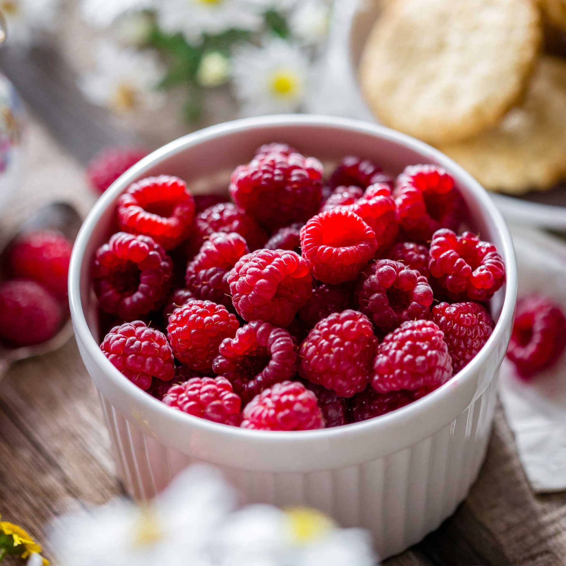 Herritage Raspbery Heritage Raspberry