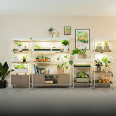 Indoor Gardening