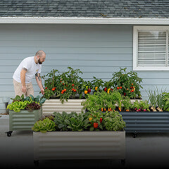 Rolling Garden Beds