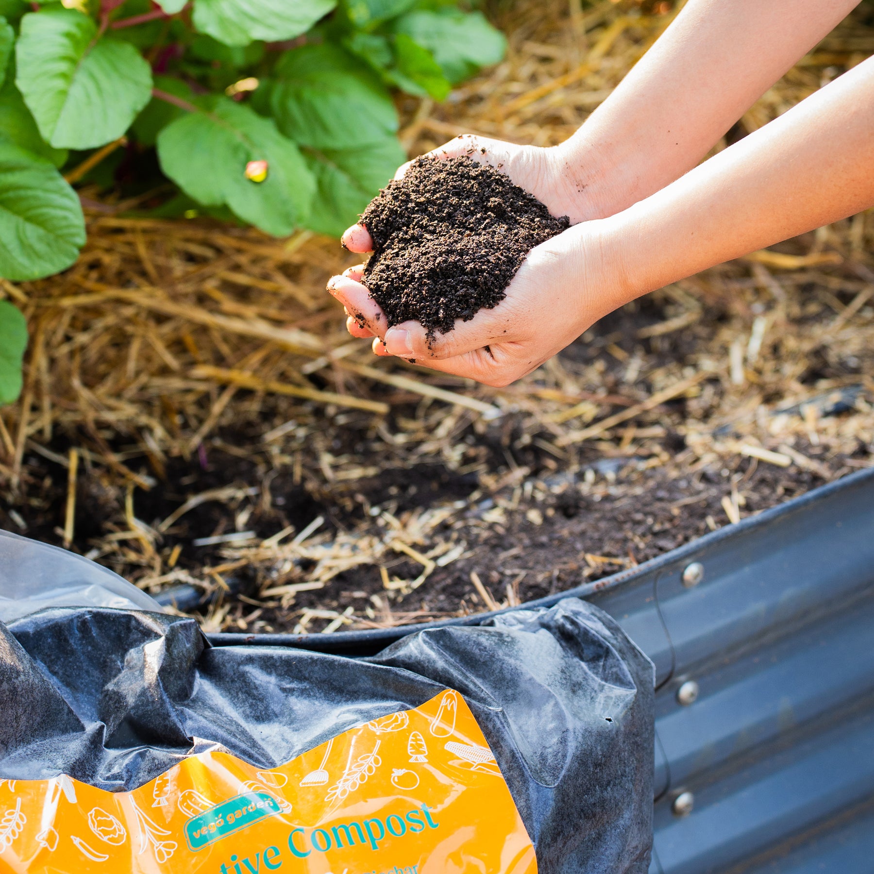 Margo Compost Vego Garden Regenerative Compost