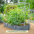 Metal Frame String Trellis | Vego Garden