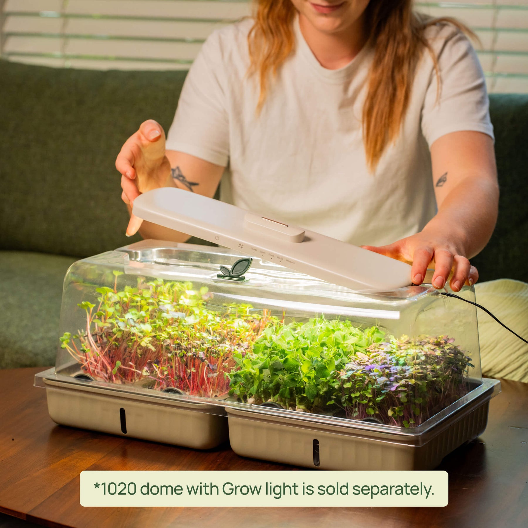 9+ Microgreen Filter EZ Microgreens Planter - Grow Indoors Year-Round | Vego Garden