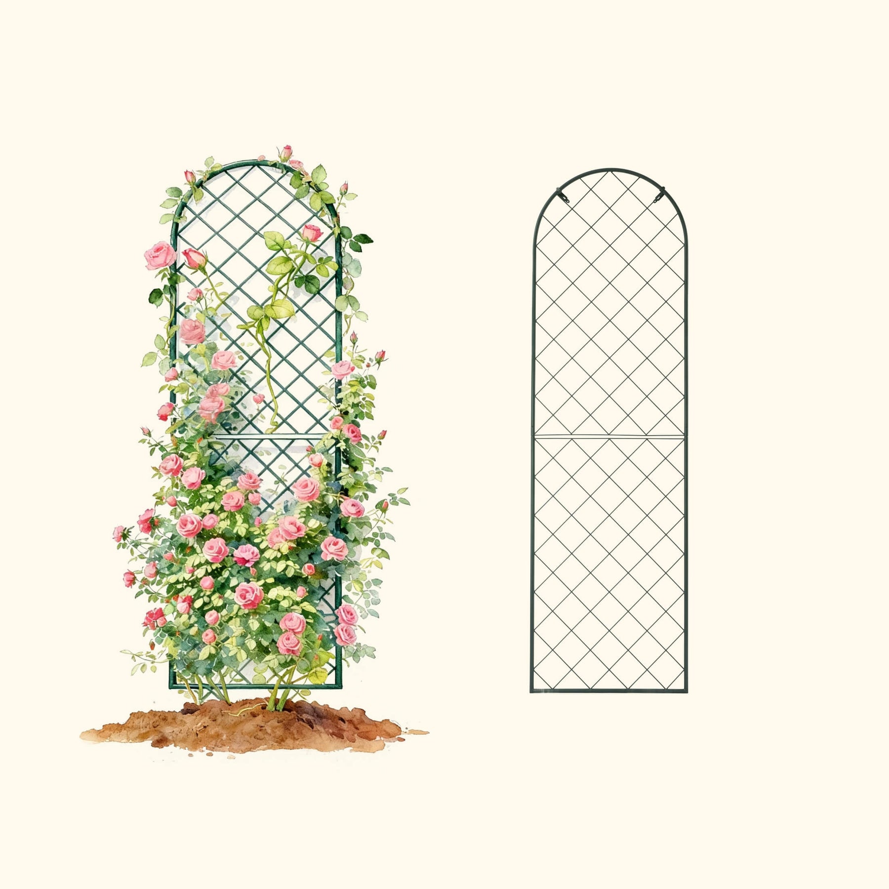 plant wall trellis Mounted Wall Trellis | Vertical Garden for Fences & Walls