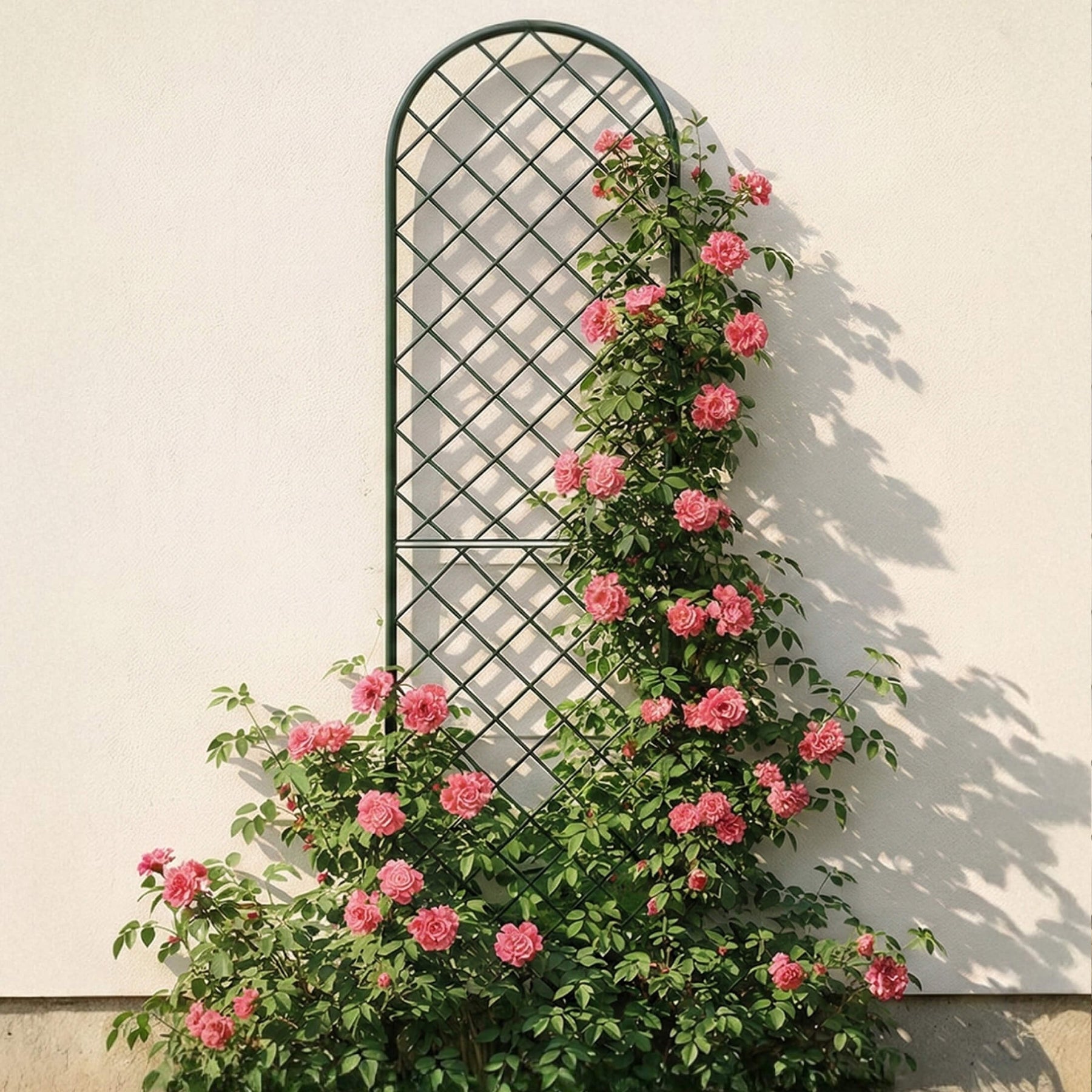 Mounted Wall Trellis | Vertical Garden for Fences & Walls - Vegogarden