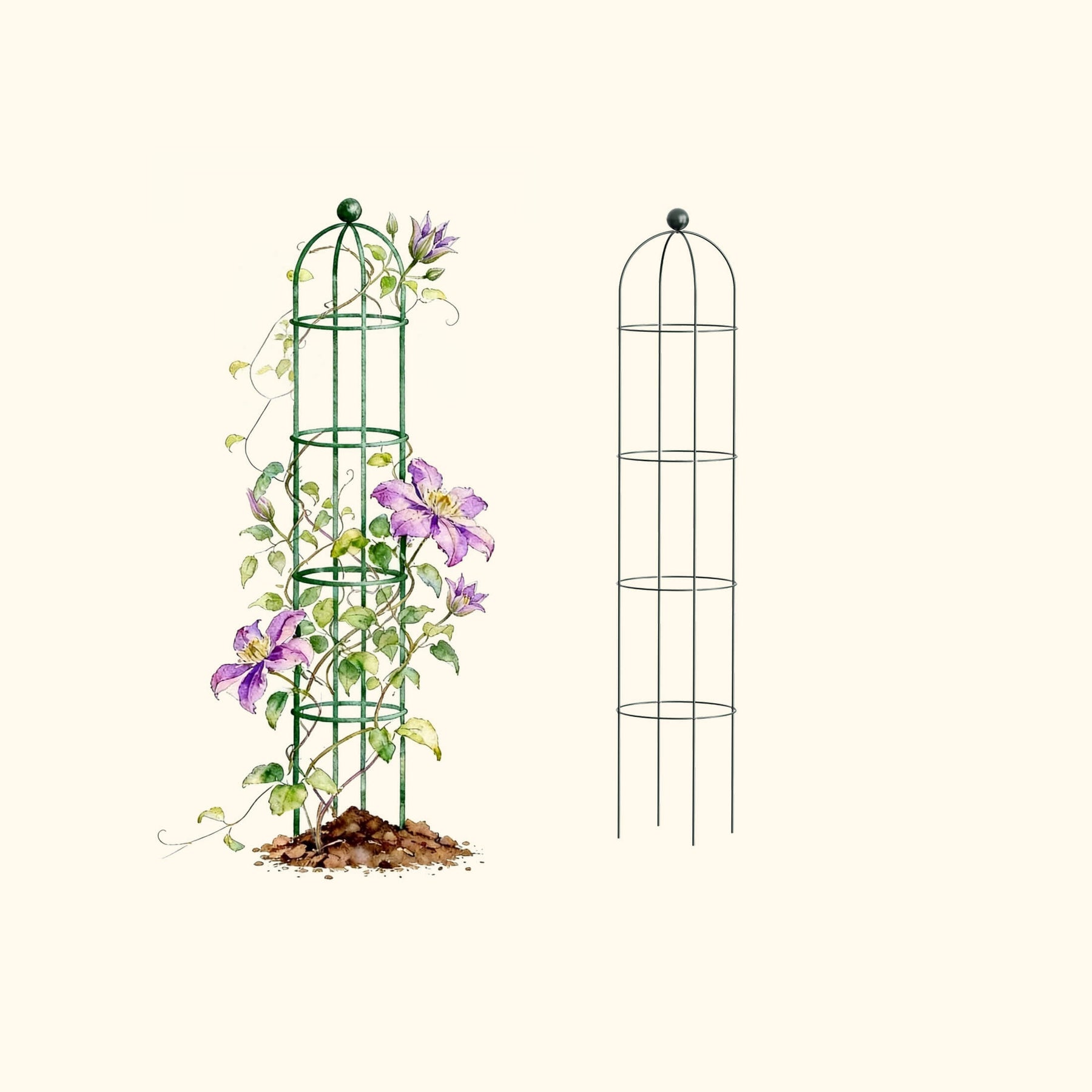 round plant trellis Round Obelisk Garden Trellis | Decorative Plant Support