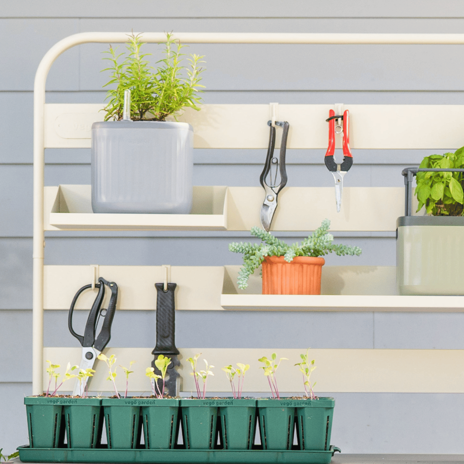 plant wall hooks indoor Potting Bench Hooks 4-Pack