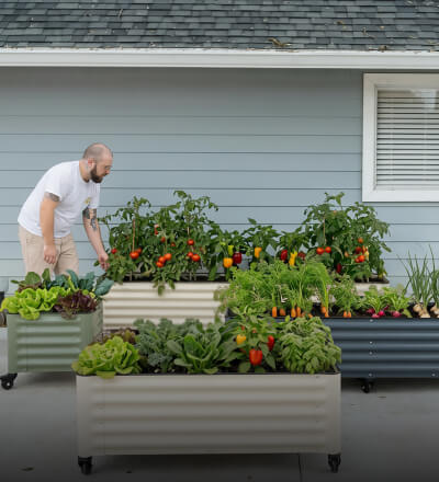 Rolling Garden Beds