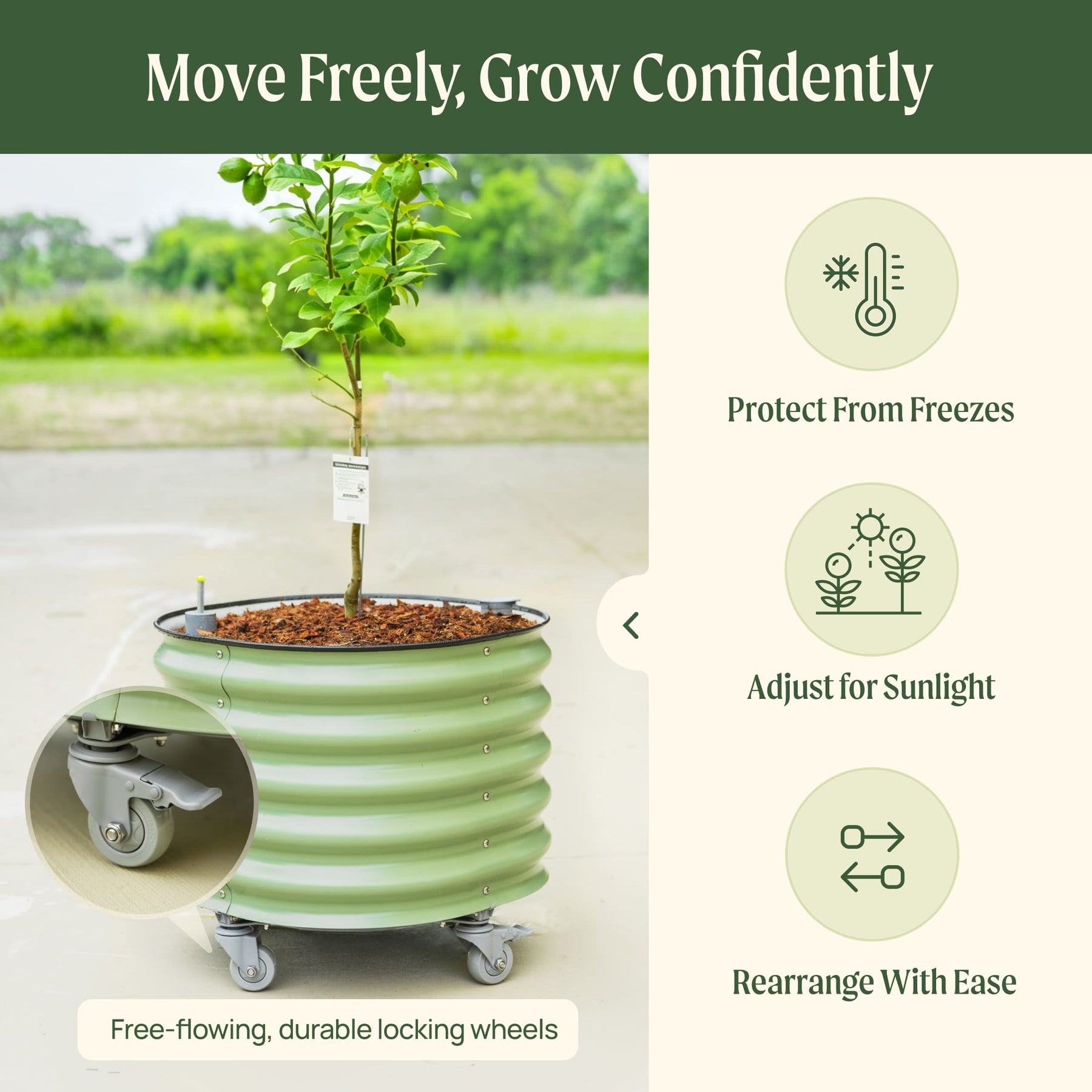 Self-Watering Rolling Citrus Tree Planter Gen 3 - 30 Gal | Vego Garden