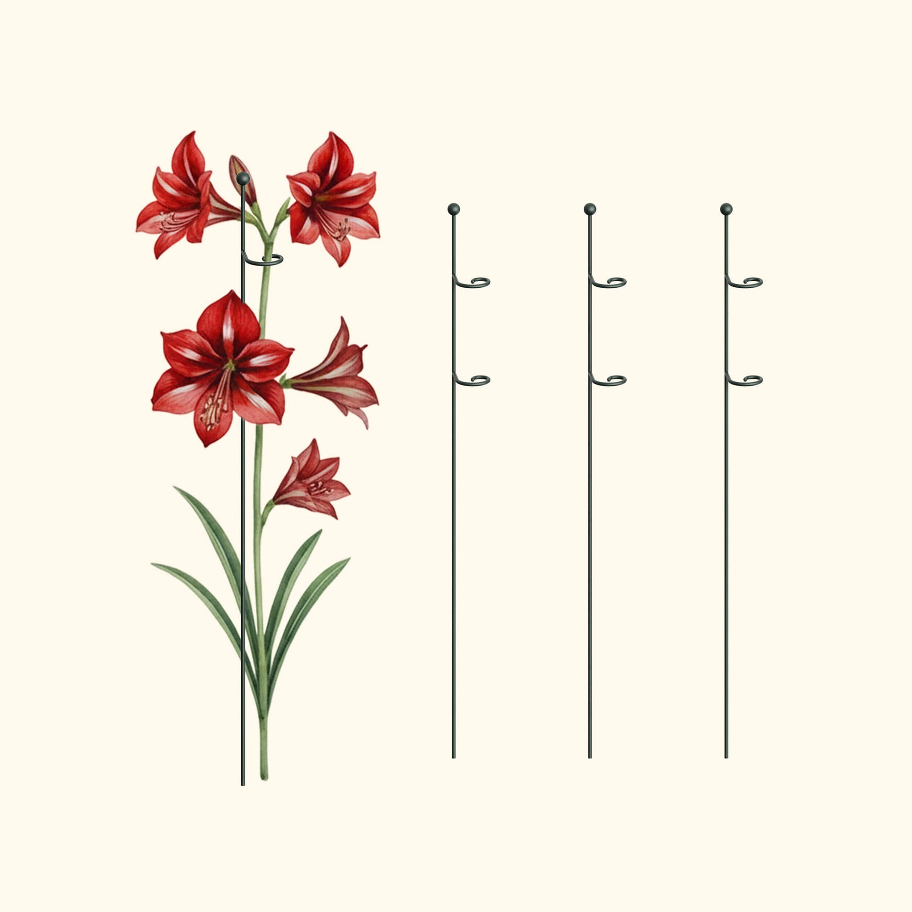 Loop Support Plant Single Stem Plant Support Loop (3 Pack) | Durable Vego Garden