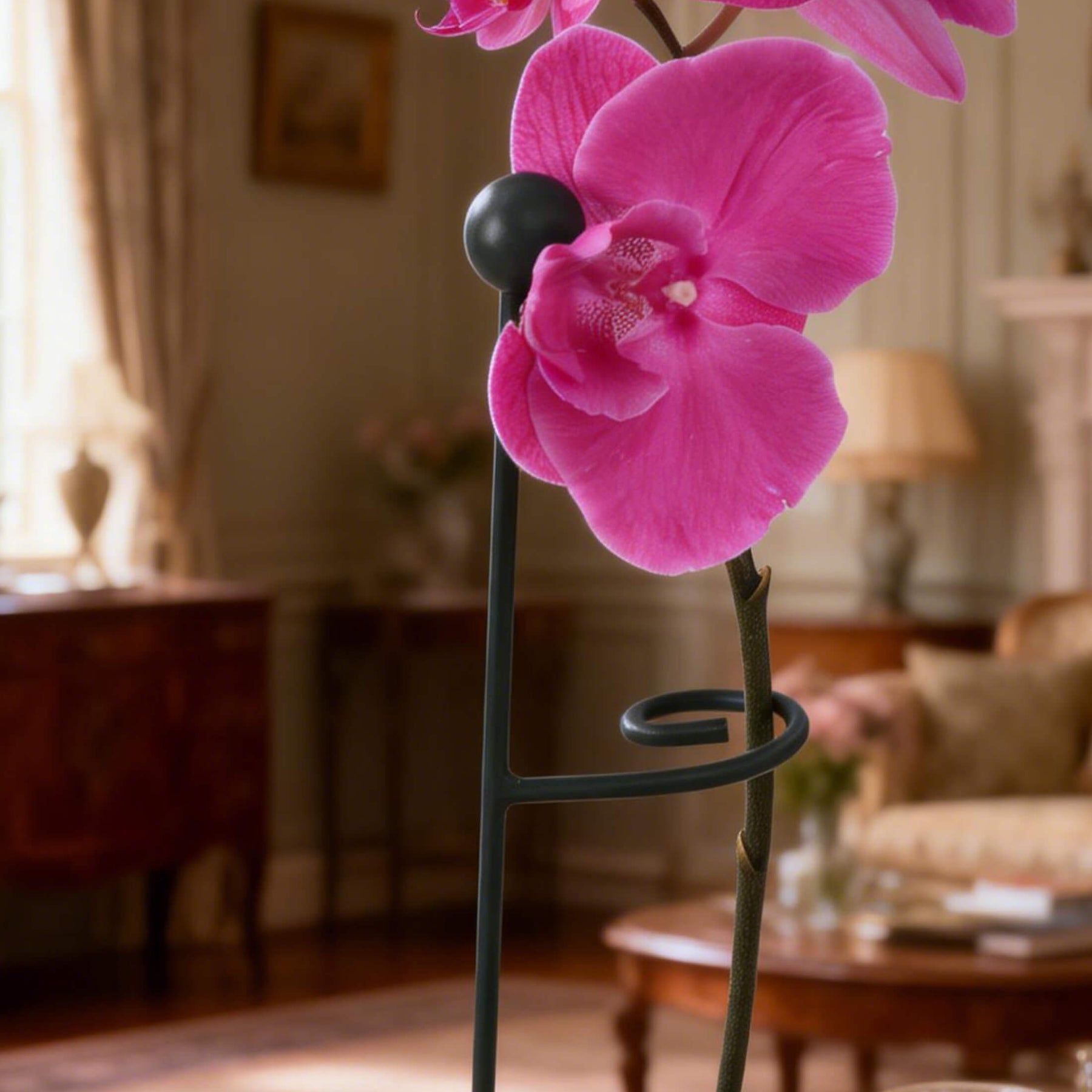 Loop Support Plant Single Stem Plant Support Loop (3 Pack) | Durable Vego Garden