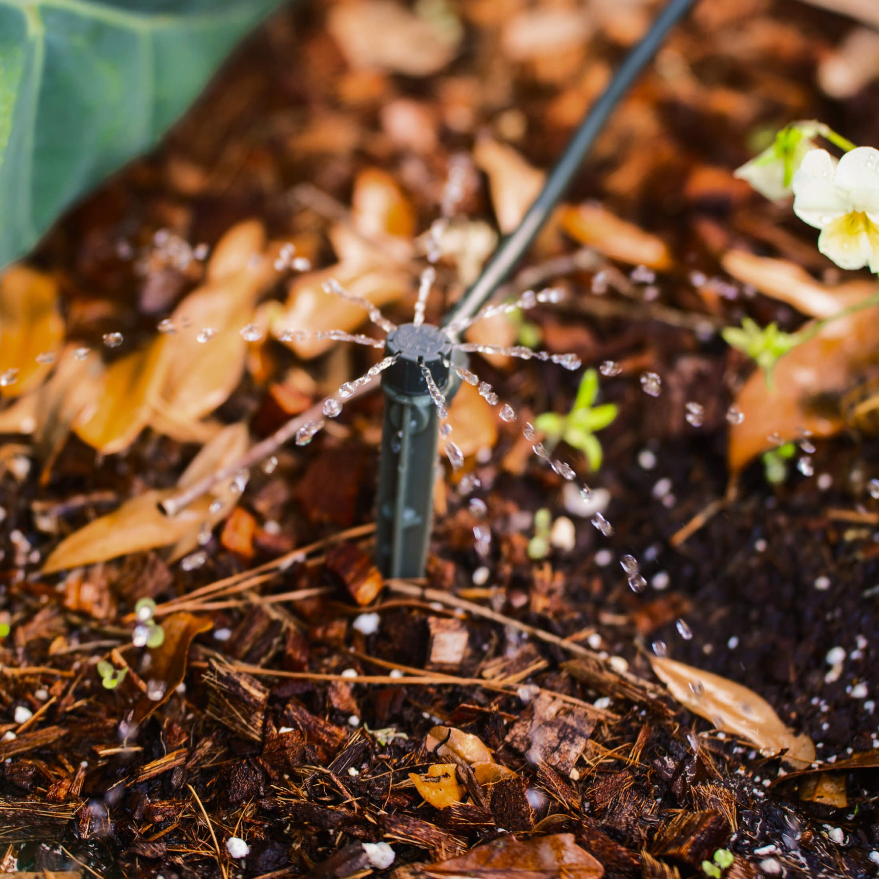 Sprinker Split Stream Bast 8-Stream Garden Sprinkler | Drip Irrigation Kit Sprinkler Head