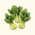 Little Shanghai Bok Choy Seeds
