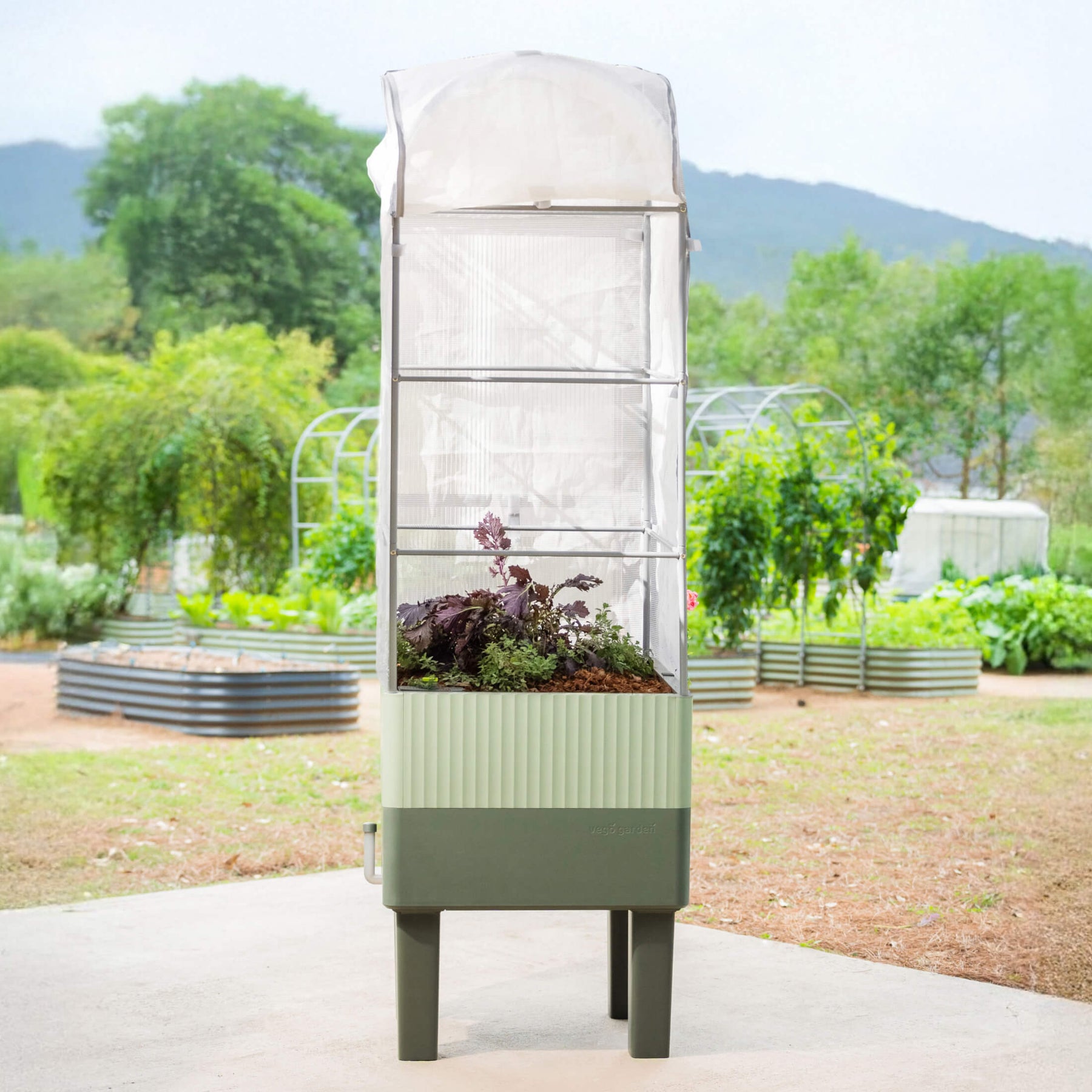 self watering planter green EZCube Self-Watering Planter 21" x 24" Elevated