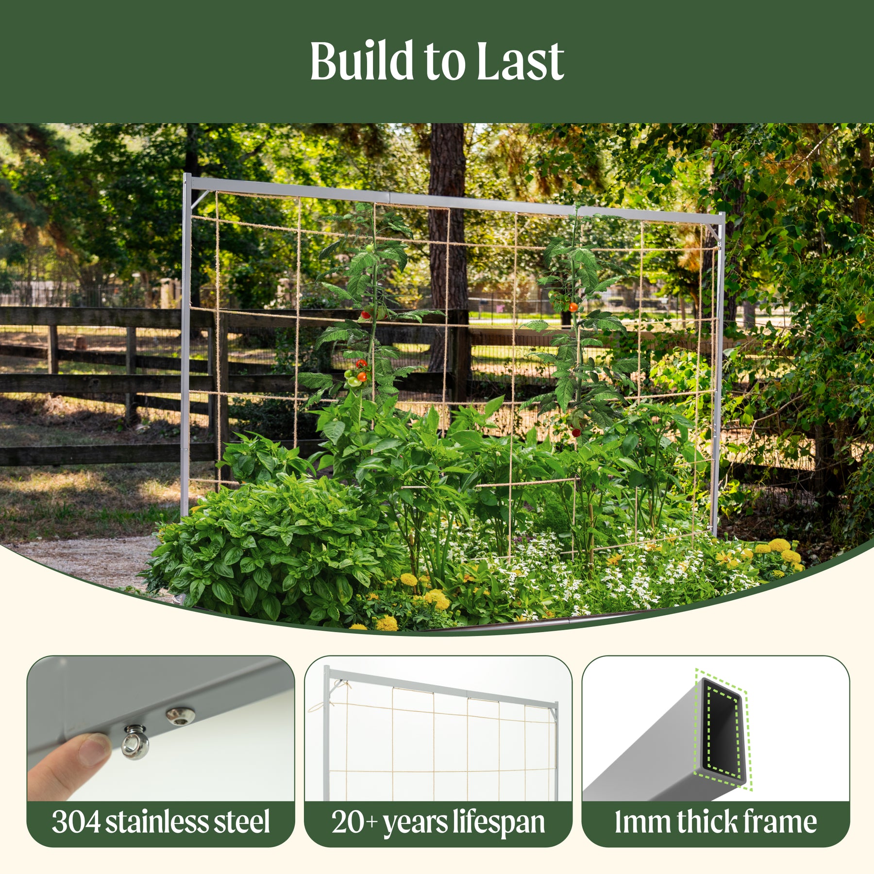 Thread Trellis Metal String Trellis for Climbing Plants | Vego Garden