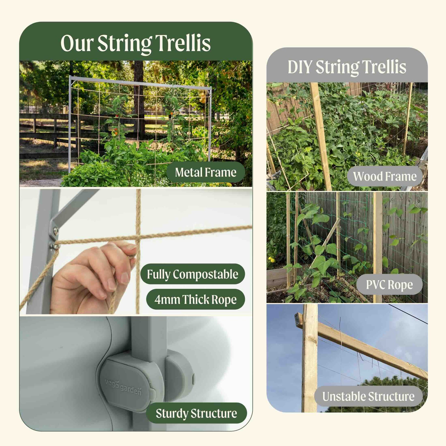 Thread Trellis Metal Frame String Trellis