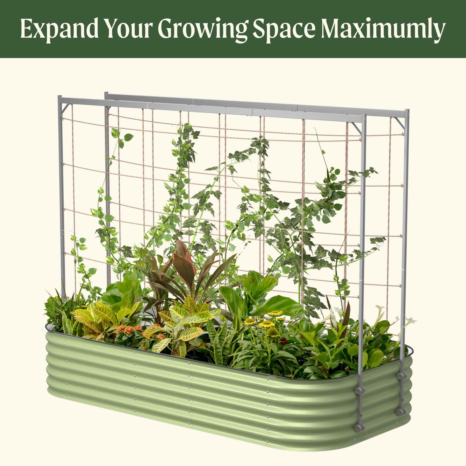 metal indoor plant trellis Metal Frame String Trellis