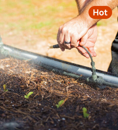 Watering