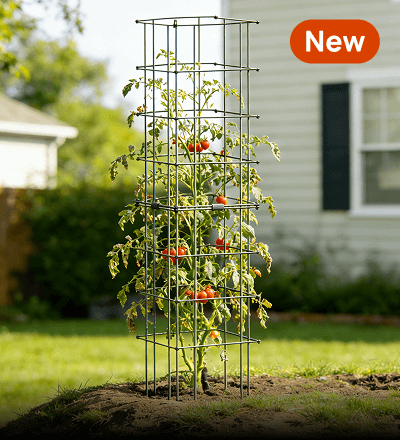 Vego garden beds