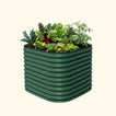 British Green