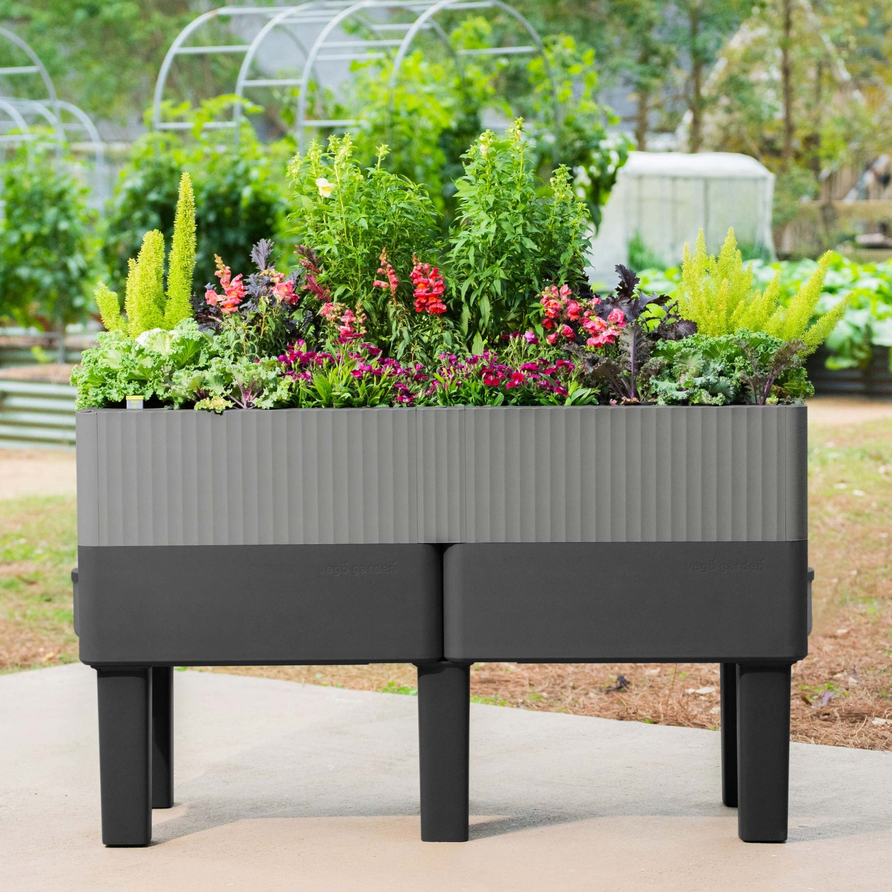 vego self watering planter EZCube Self-Watering Planter 21" x 48" Elevated