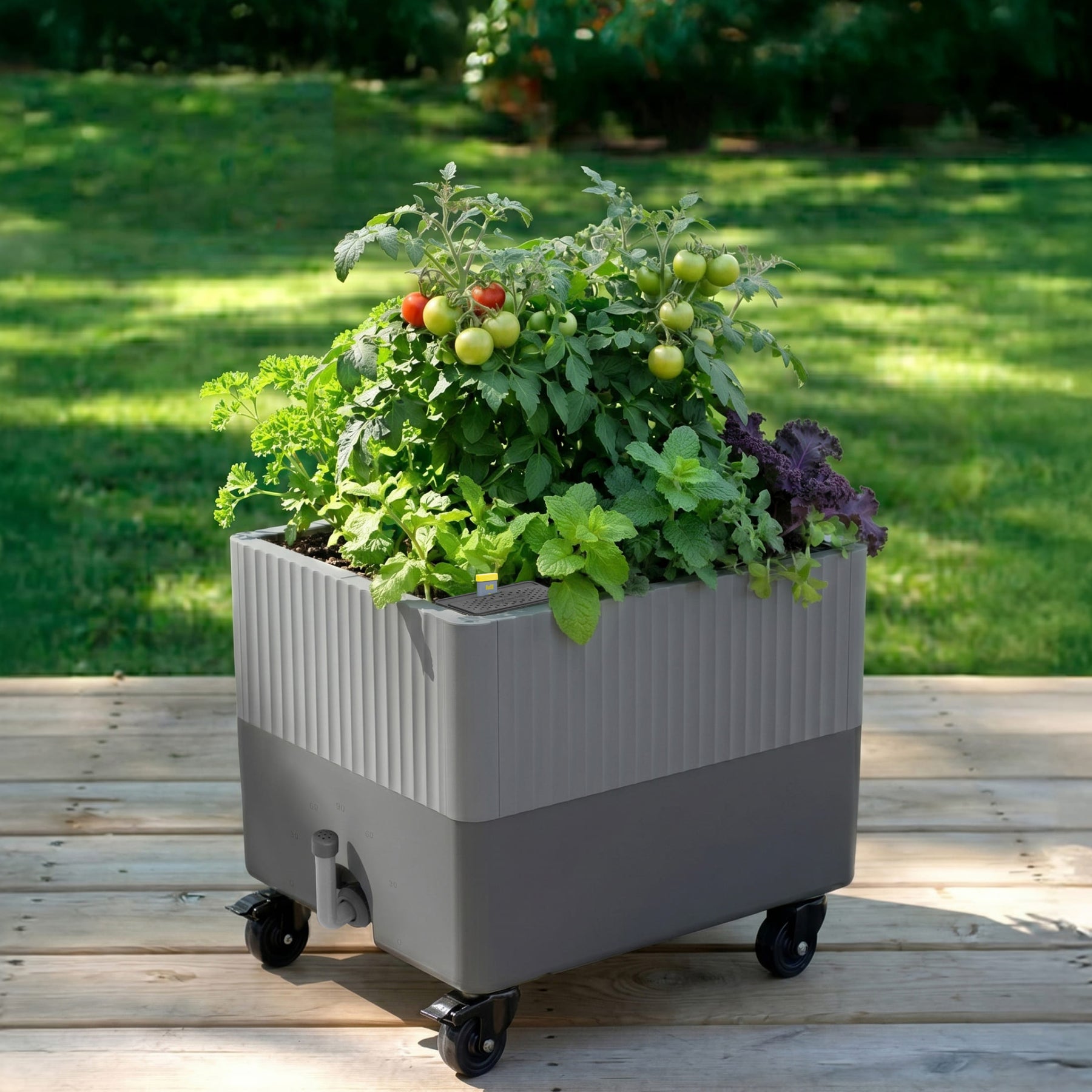 vego self watering rolling planter EZCube Self-Watering Rolling Planter | Indoor Garden