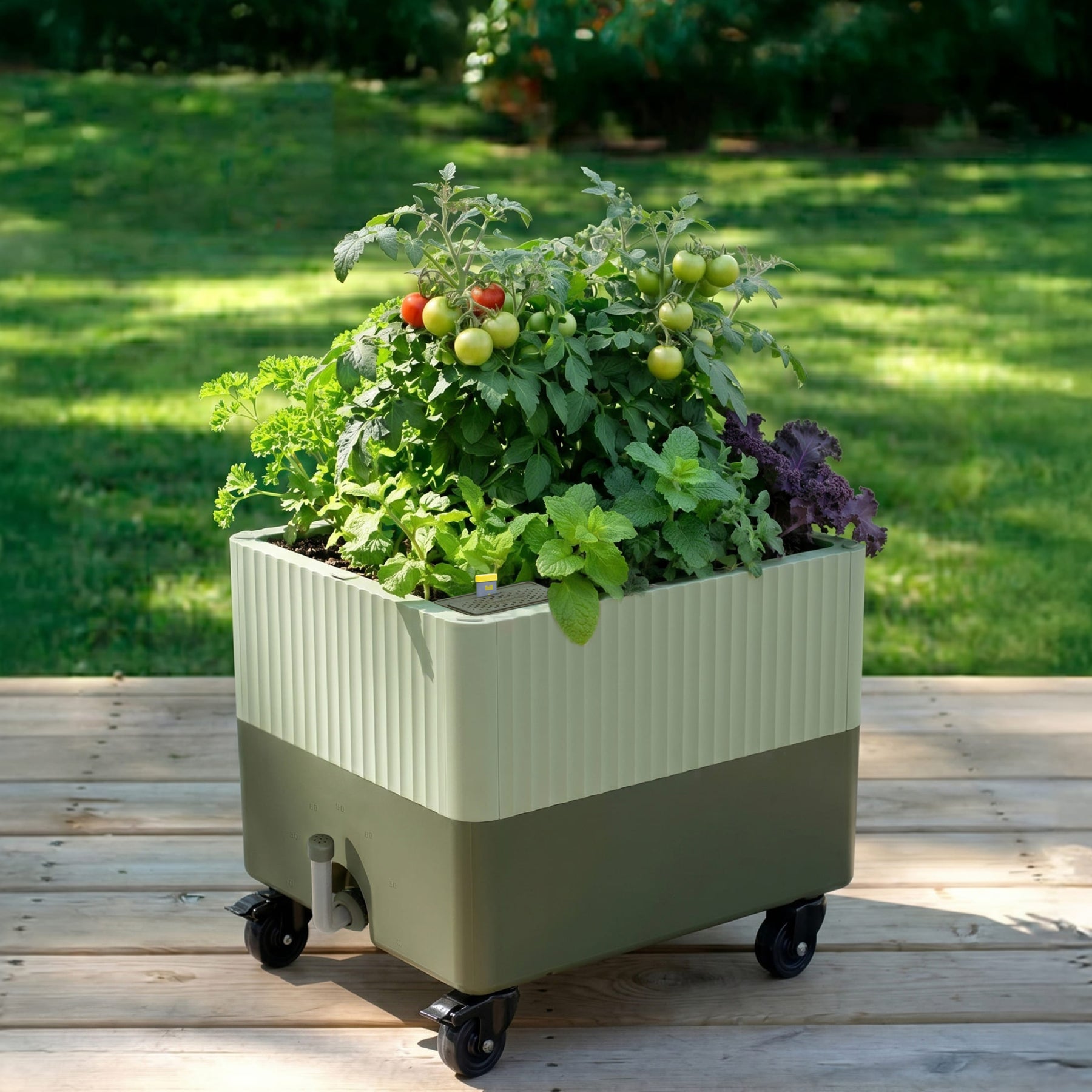 self-watering rolling planter EZCube Self-Watering Rolling Planter | Indoor Garden