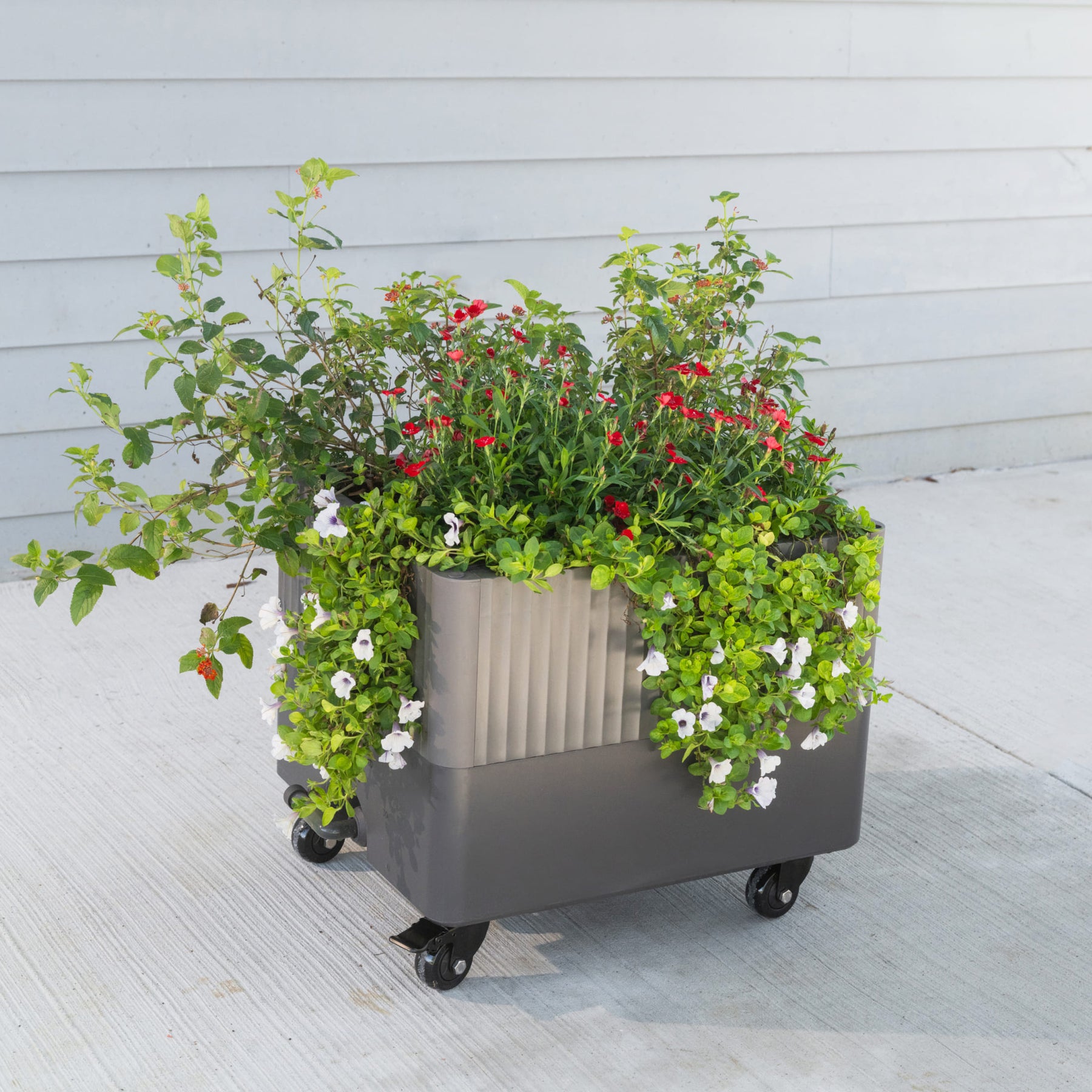 rolling self watering planter EZCube Self-Watering Rolling Planter | Indoor Garden