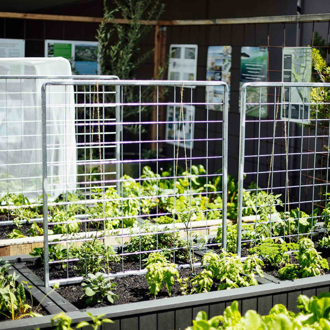 Foodcube™ Wall Trellis – Vego Garden