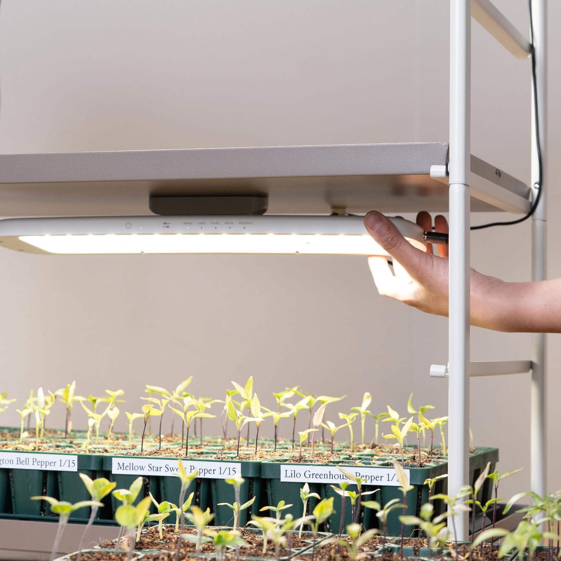 indoor plant grower kit Grow Light Garden Conversion kit