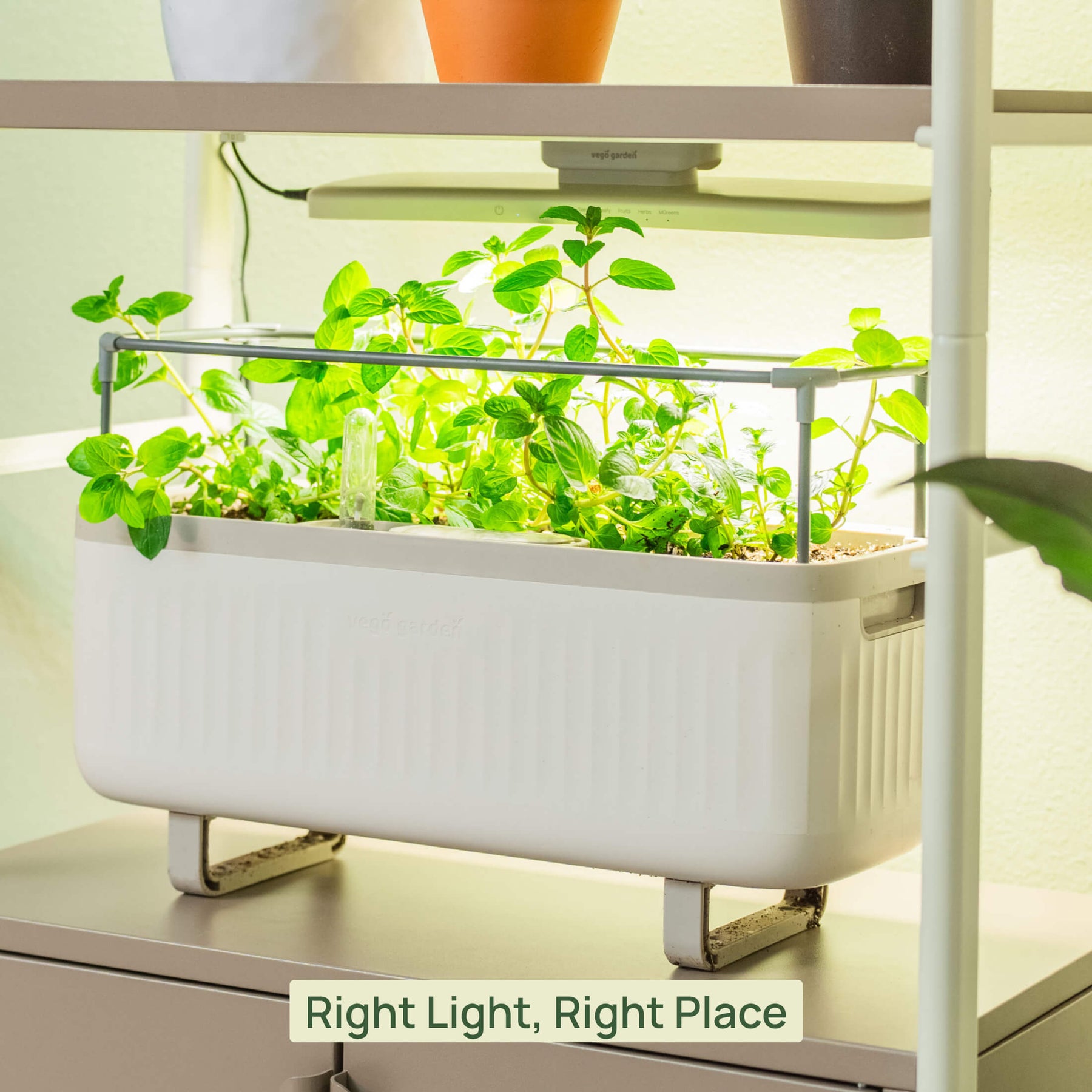 grow light kit for indoor plants Vego Grow Light – Full-Spectrum LED for Thriving Indoor Gardens